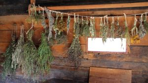 drying-herbs
