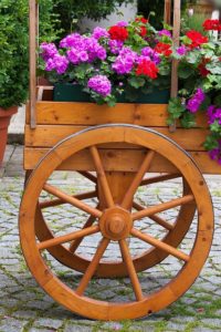 flowercart