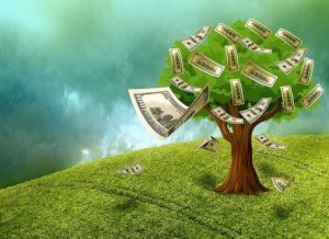 money growing on trees