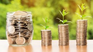 a plant on top of a stack of coins. growing your money